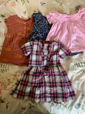 Lot of 12 month girl clothes